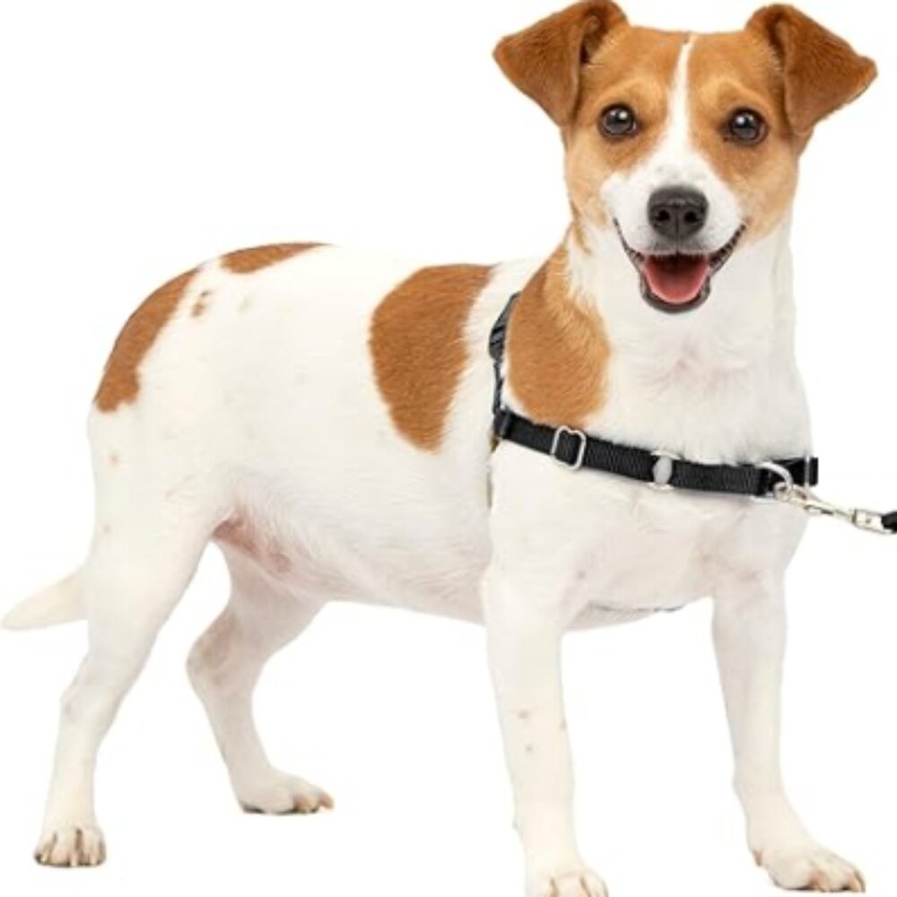 No-Pull Dog Harness - The Harness to Help Stop Pulling-Small PetSafe Easy Walk